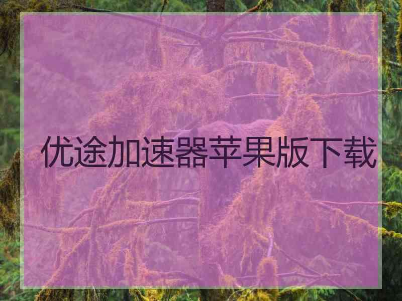 优途加速器苹果版下载