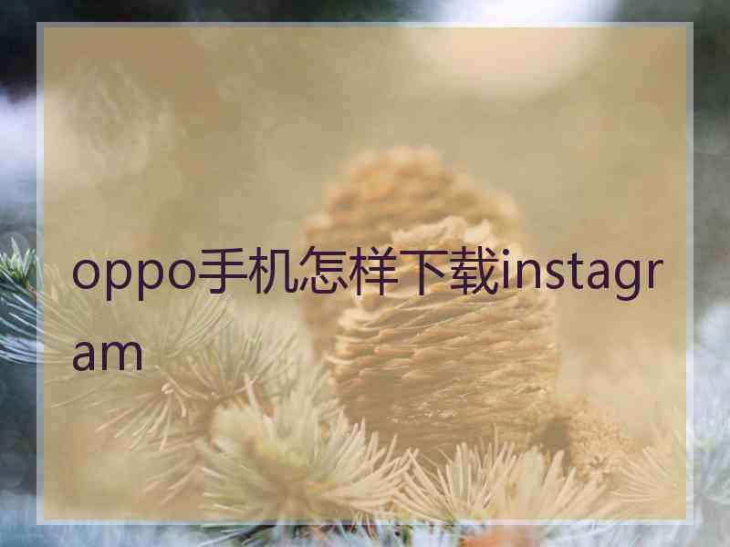 oppo手机怎样下载instagram