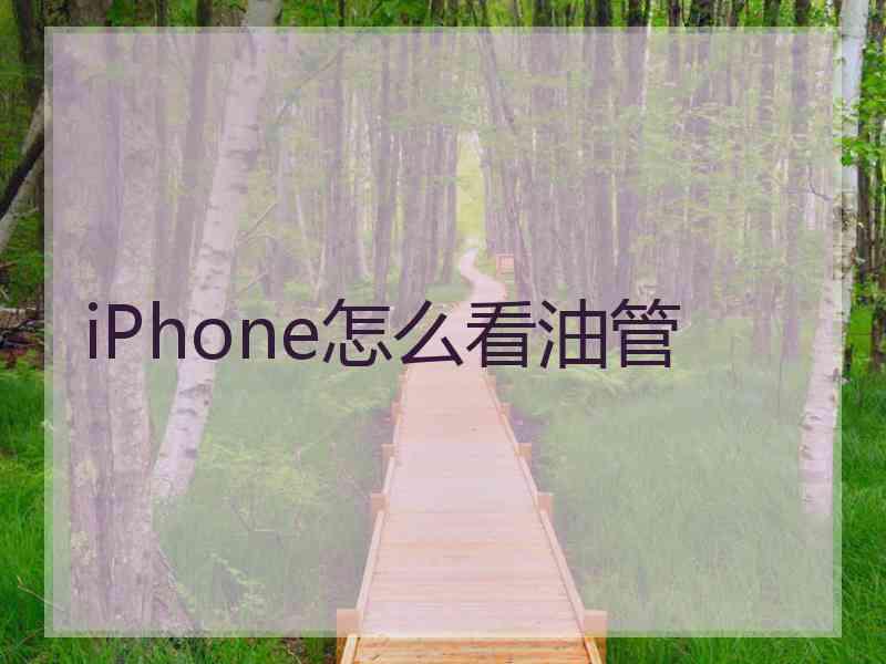 iPhone怎么看油管