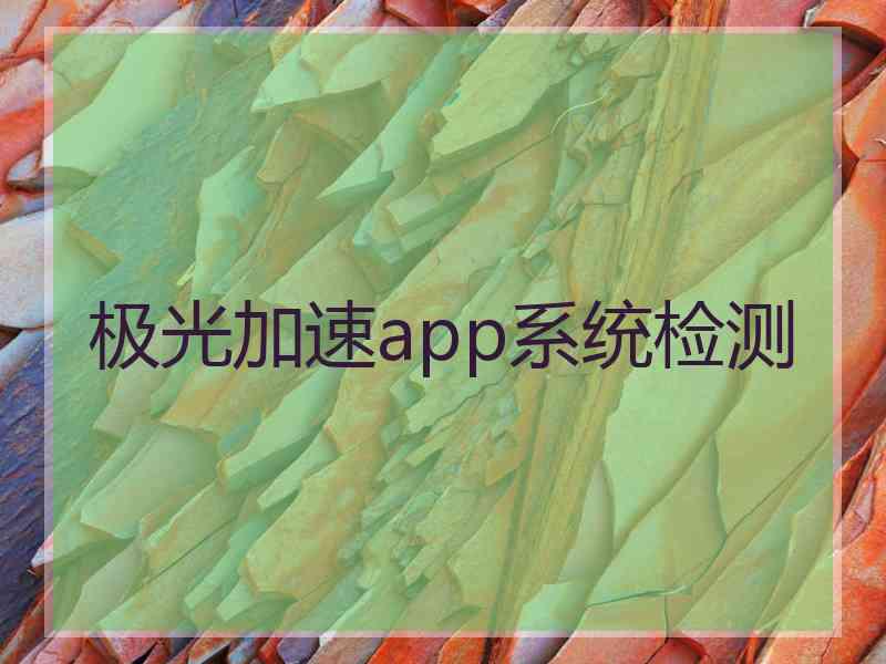 极光加速app系统检测