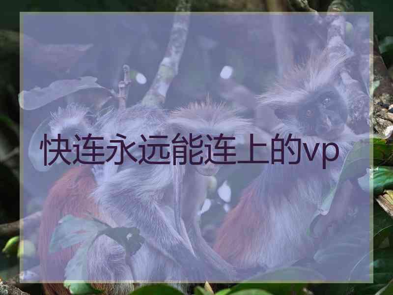 快连永远能连上的vp