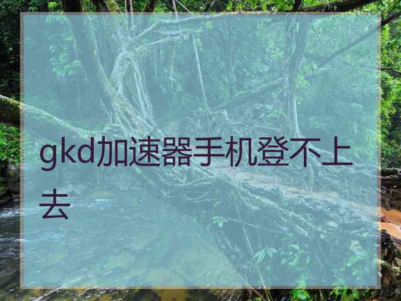 gkd加速器手机登不上去