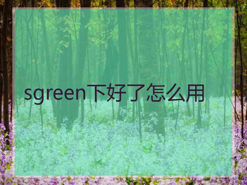 sgreen下好了怎么用