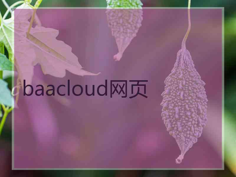 baacloud网页