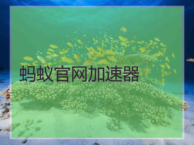 蚂蚁官网加速器