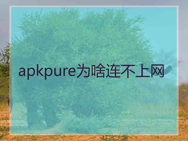 apkpure为啥连不上网