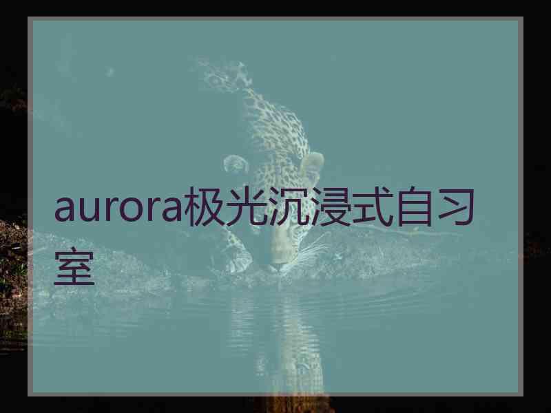 aurora极光沉浸式自习室