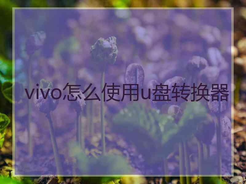 vivo怎么使用u盘转换器