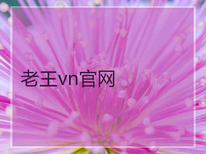 老王vn官网