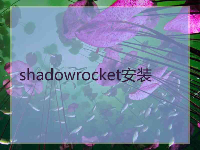 shadowrocket安装