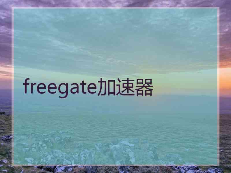 freegate加速器