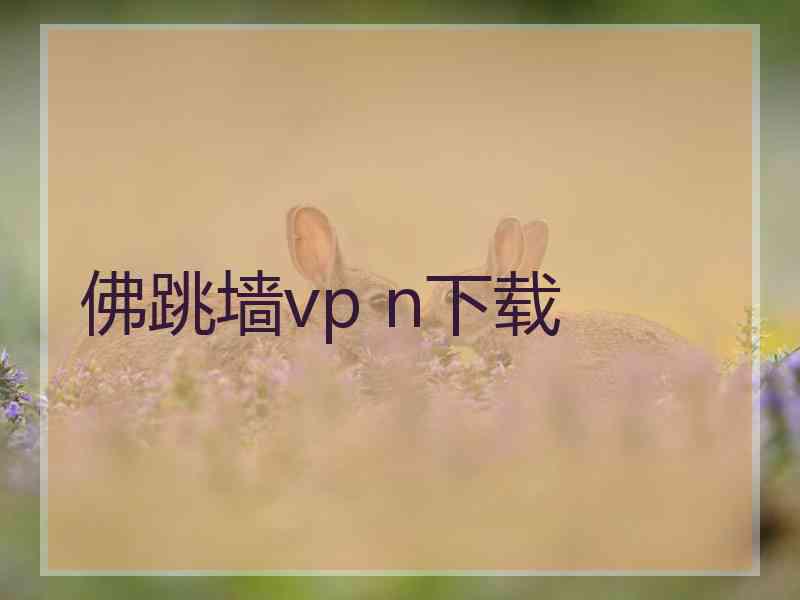 佛跳墙vp n下载