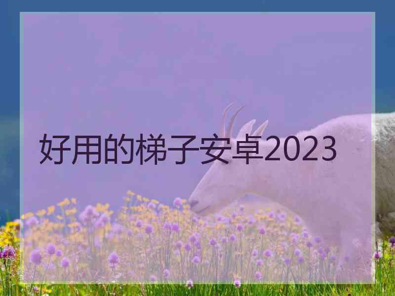 好用的梯子安卓2023