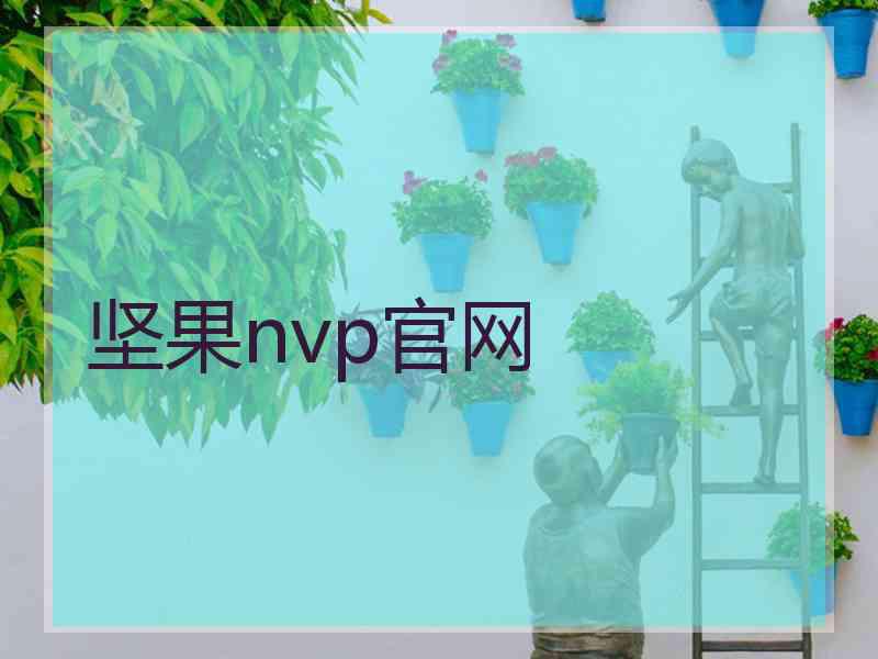 坚果nvp官网