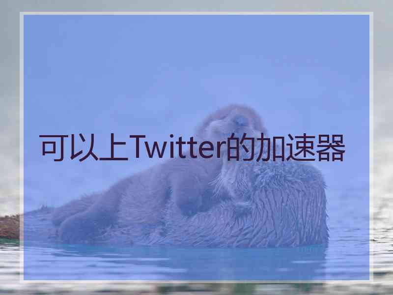 可以上Twitter的加速器