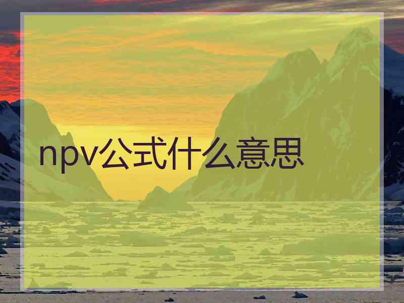 npv公式什么意思