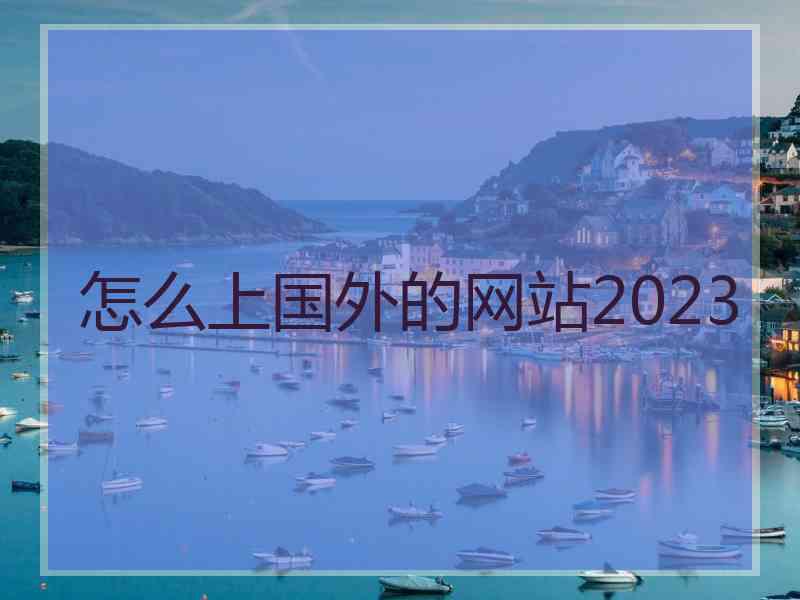 怎么上国外的网站2023