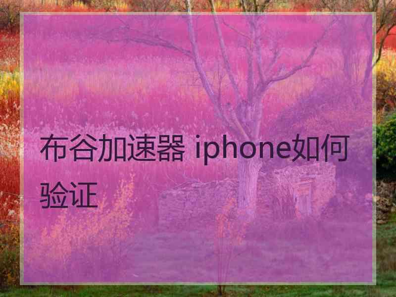 布谷加速器 iphone如何验证