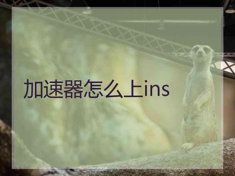 加速器怎么上ins