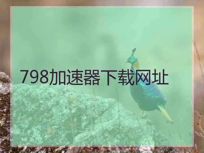 798加速器下载网址