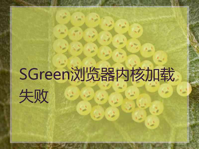 SGreen浏览器内核加载失败