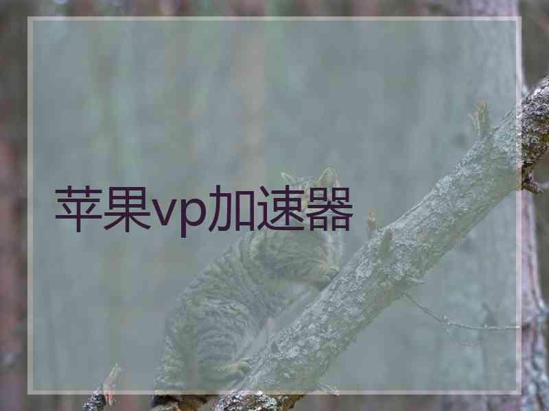 苹果vp加速器