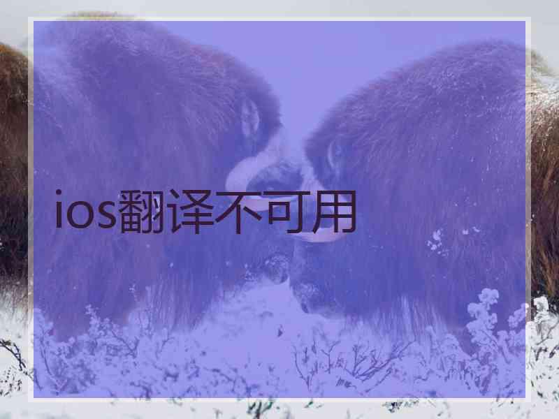 ios翻译不可用