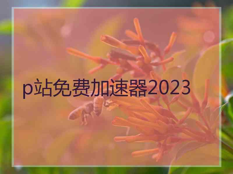 p站免费加速器2023