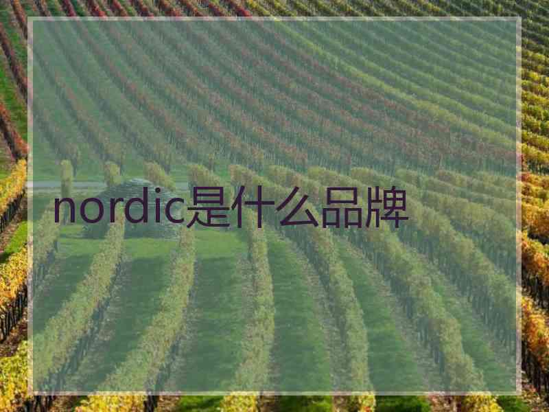 nordic是什么品牌