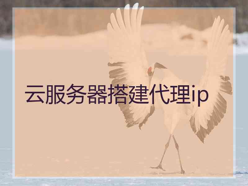 云服务器搭建代理ip