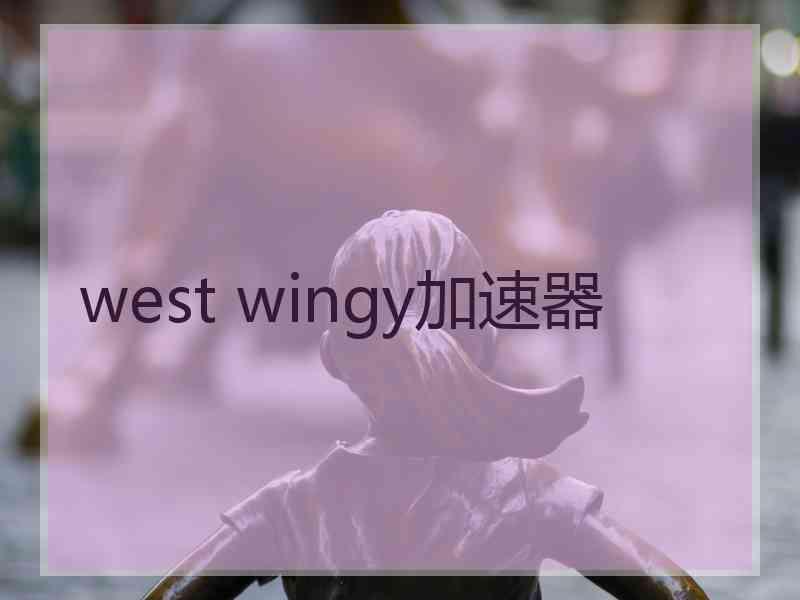 west wingy加速器