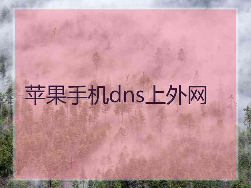 苹果手机dns上外网