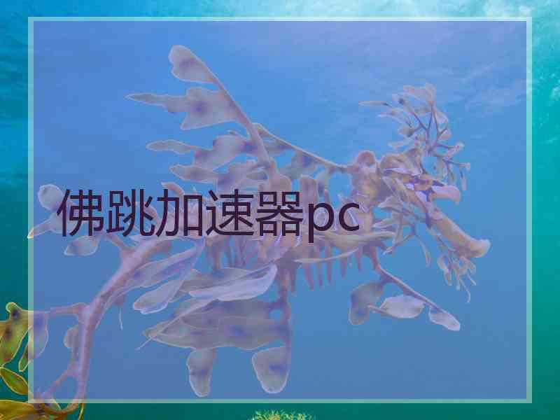 佛跳加速器pc