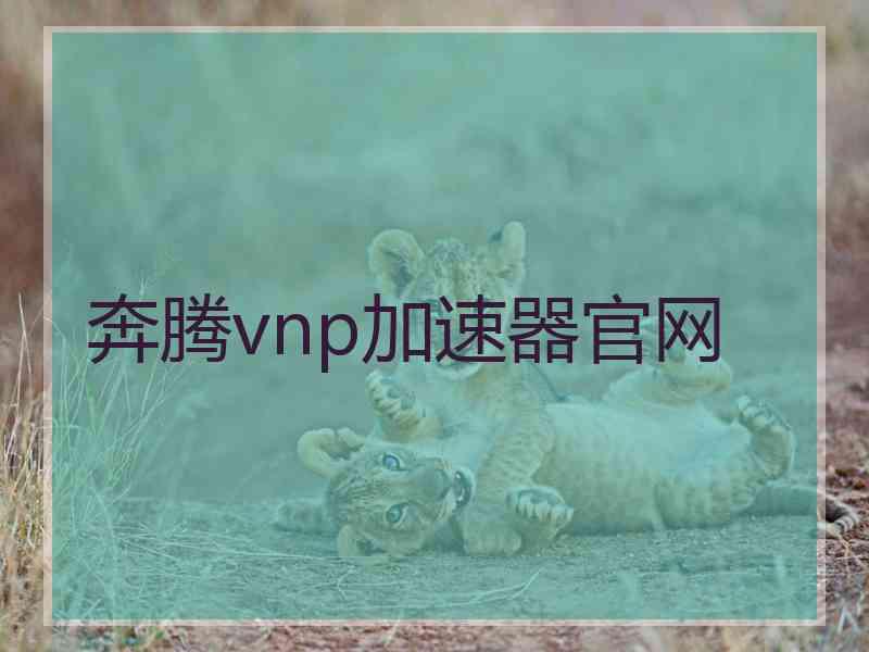 奔腾vnp加速器官网