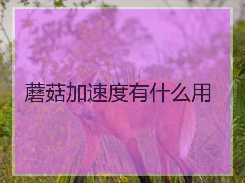 蘑菇加速度有什么用