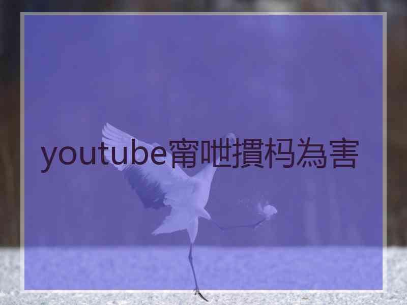 youtube甯呭摜杩為害