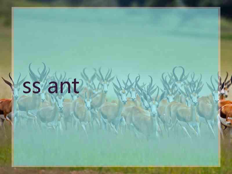 ss ant