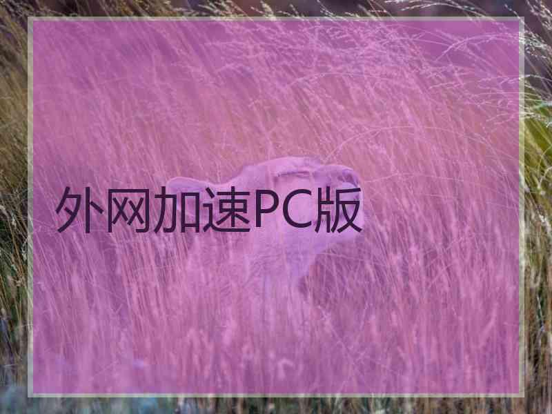 外网加速PC版