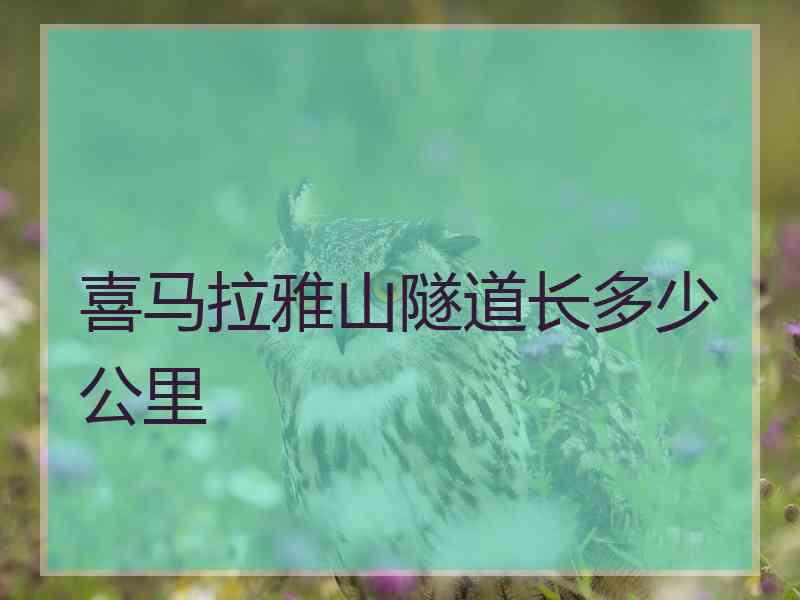 喜马拉雅山隧道长多少公里