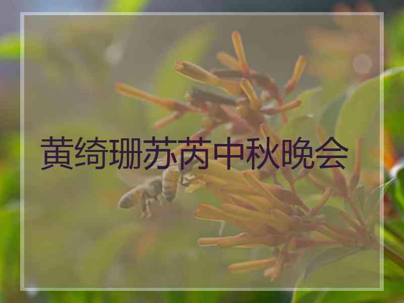 黄绮珊苏芮中秋晚会