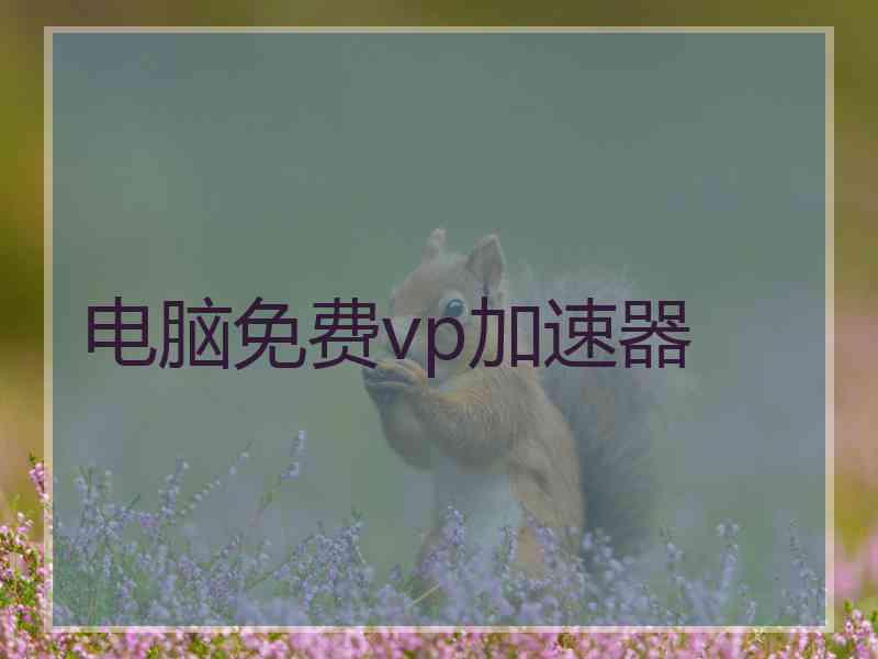 电脑免费vp加速器