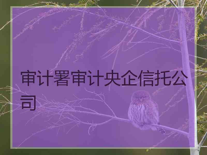 审计署审计央企信托公司