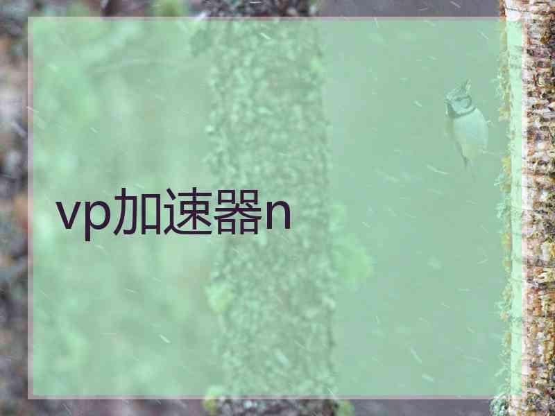 vp加速器n