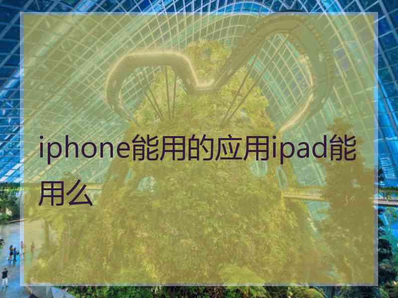 iphone能用的应用ipad能用么