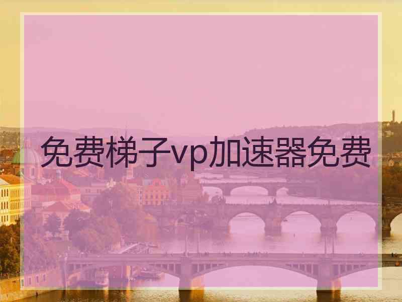 免费梯子vp加速器免费