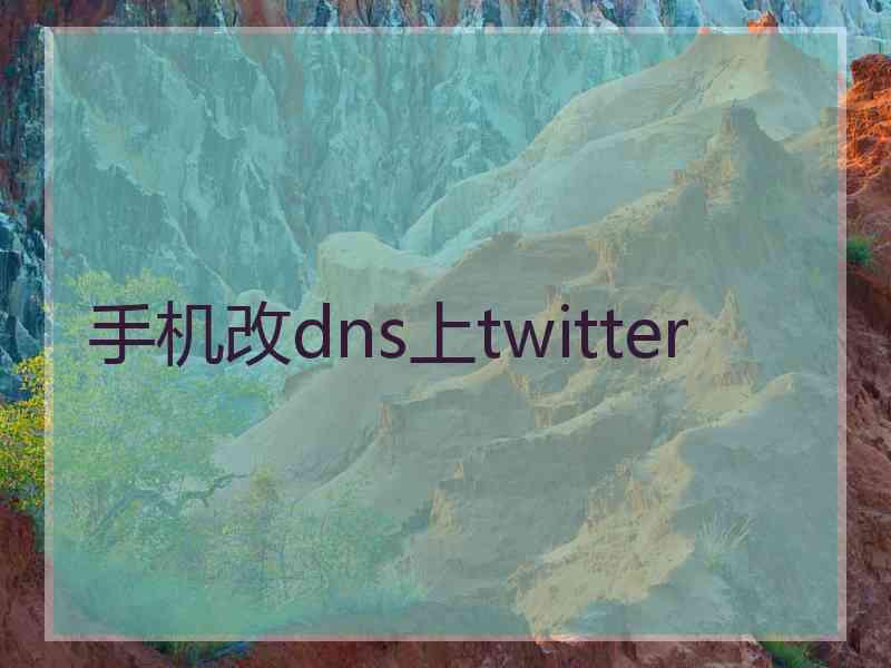 手机改dns上twitter