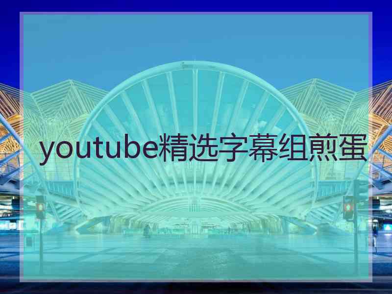 youtube精选字幕组煎蛋