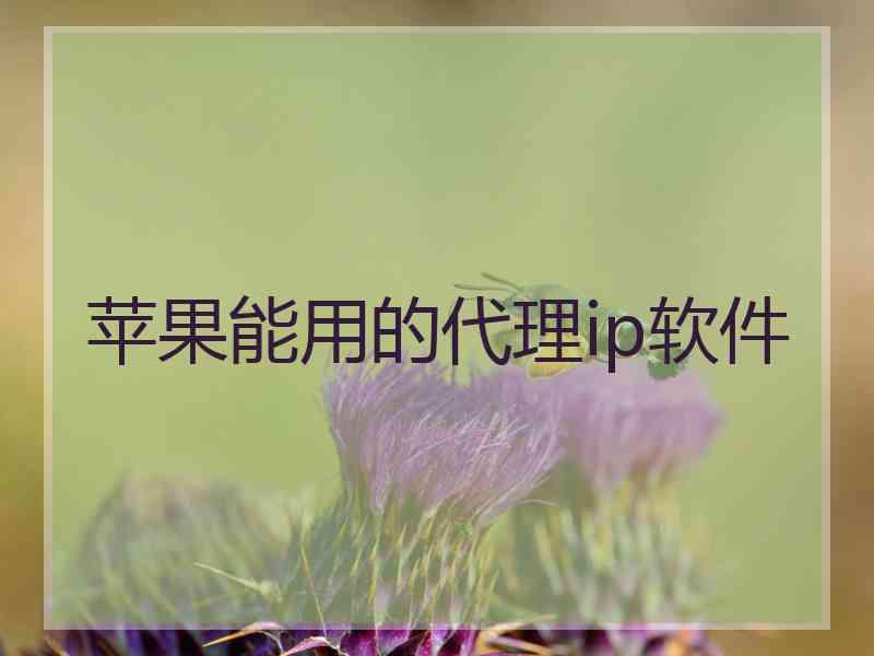 苹果能用的代理ip软件