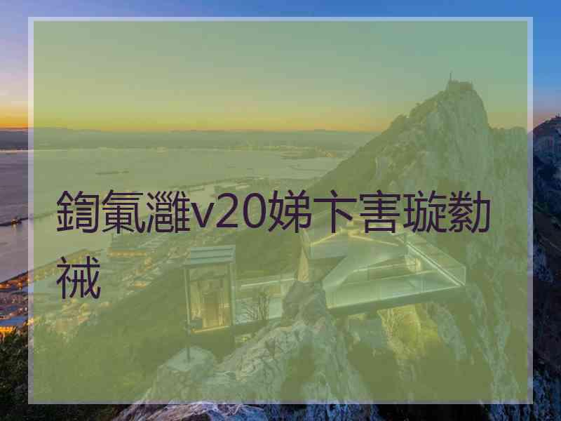 鍧氭灉v20娣卞害璇勬祴