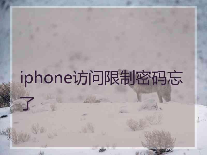 iphone访问限制密码忘了